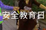 全國中小學安全教育日活動總結