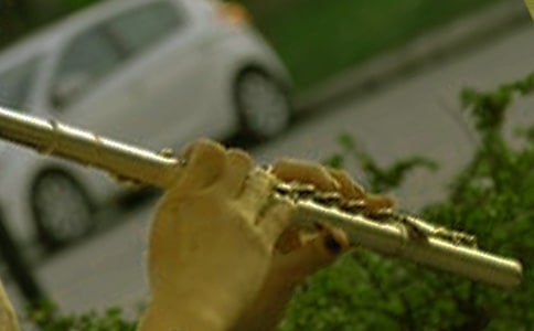 我的笛子五年級作文