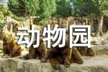 溫州動物園導游詞2篇