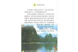 小學語文《桂林山水》教學反思