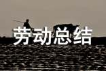 勞動總結作文