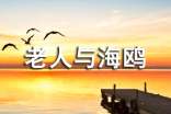 《老人與海鷗》讀后感作文700字