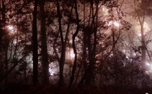 �賿���c��f�f�İ�