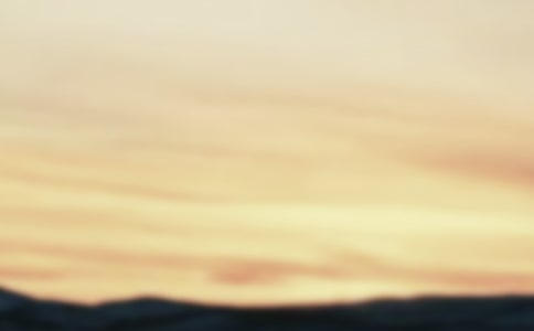 破曉小學生作文550字