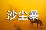 沙塵暴來了作文300字(通用63篇)