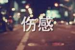 簡單的微信傷感句子匯編45條