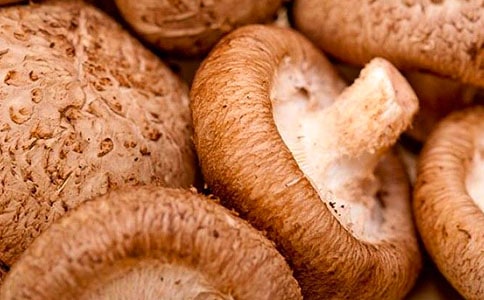 �㹽���u��������