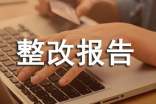 企業稅收自查整改報告范文(通用6篇)