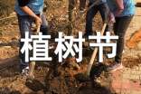 植樹節的詩歌朗誦稿