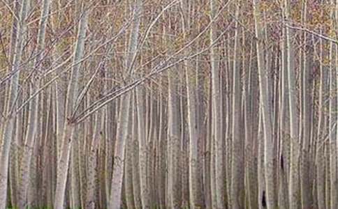 �ח�䃞���������]