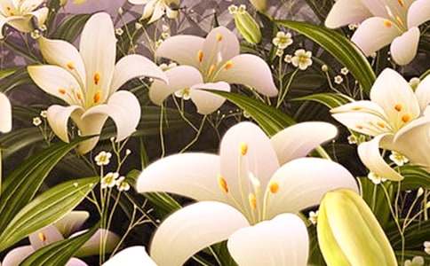 �Ґ۰ٺϻ�����350��