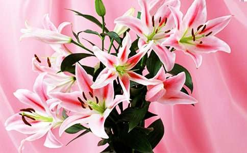 �茑�ٺϻ�����