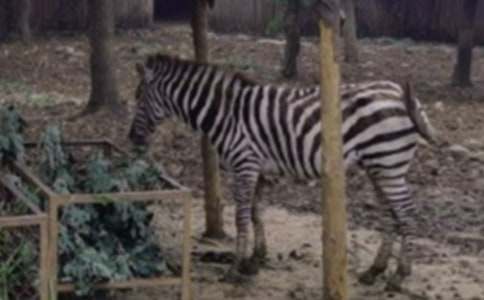 ���R�����ģ�ͨ��25ƪ��