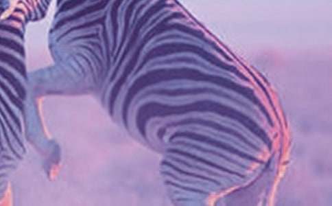 ���R��������Ԓ����