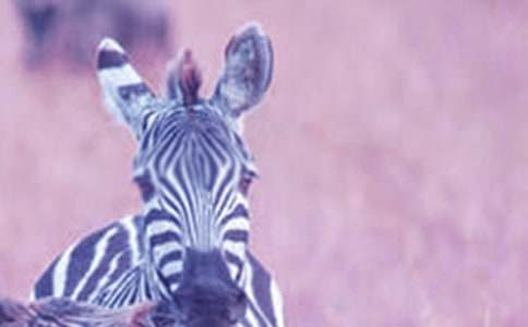 �Y׌���R����������