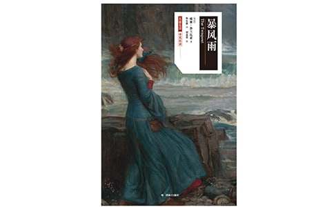 暴風雨作文300字(精選30篇)