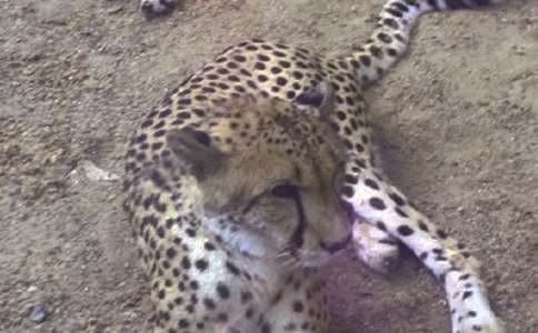 �����_ţ����(3ƪ)