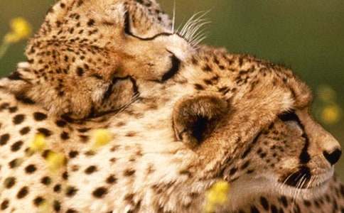 �P�ڱ��ӵ�����600�֣�ͨ��13ƪ��