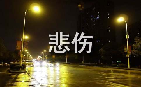 ���_����ץס�옷����800��