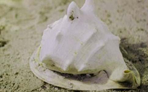 ��Bؐ�������ģ����x42ƪ��