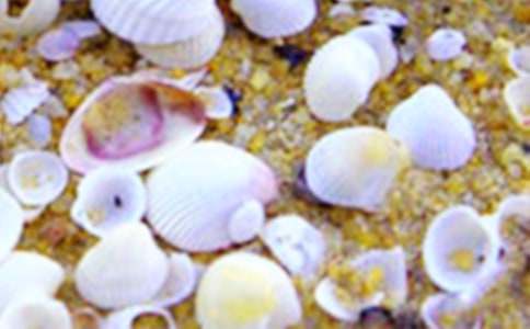 ��߅��ؐ�������ķ���