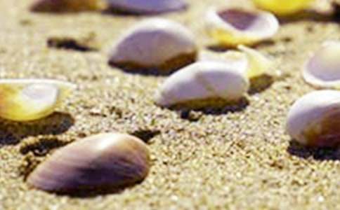 ����ؐ������