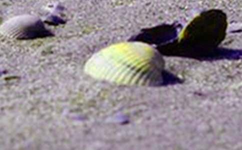 �����]��ؐ������6ƪ