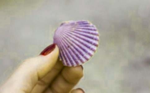 �P�ړ�ؐ������3ƪ