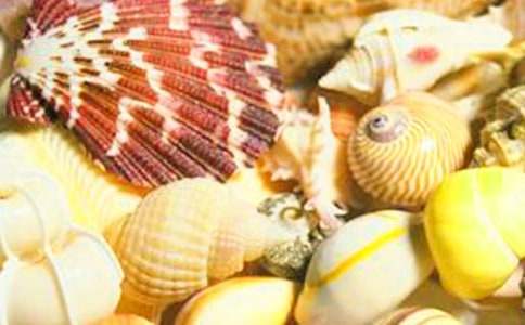 ɳ����ؐ������