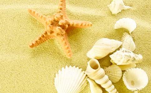 ؐ����������