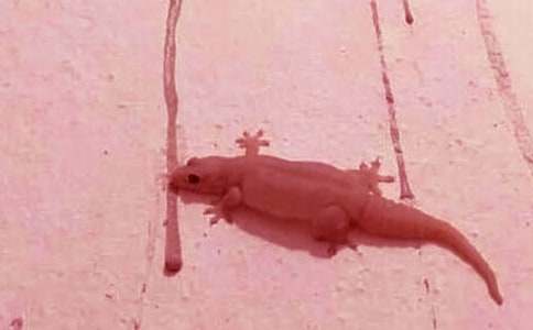 �������ıڻ����^��