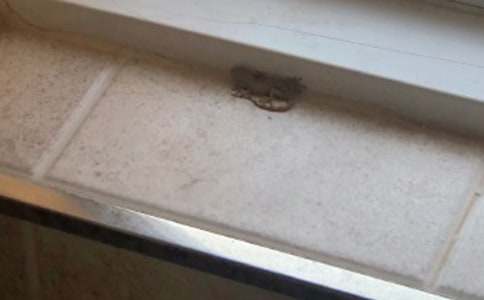 �^��ڻ�������(3ƪ)