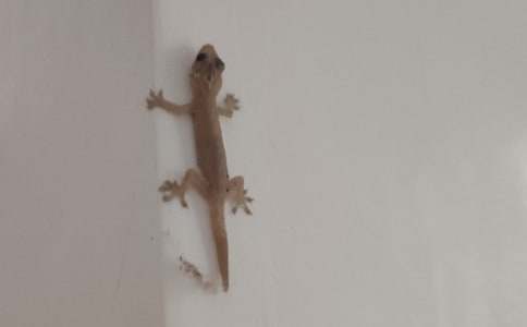 �ڻ����^������