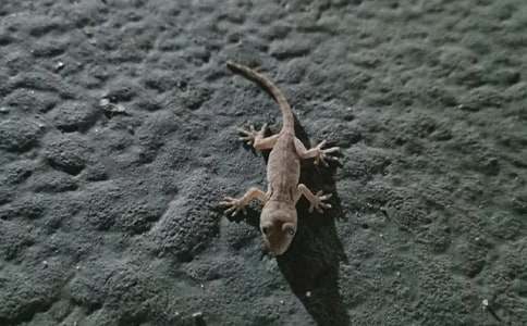 �������^��ڻ����ģ�ͨ��56ƪ��