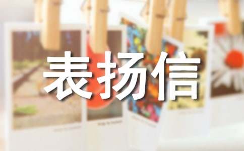 2016���P��ʰ������P�ŷ���