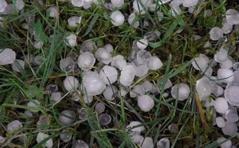 ��������600��4ƪ