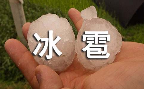 ��������300�֣�ͨ��49ƪ��