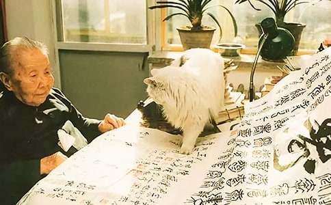 ��������600��6ƪ