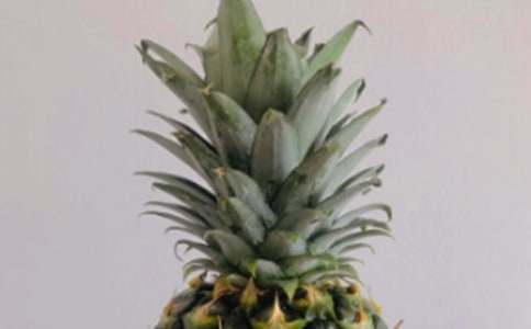 ���}����600�ְ�ƪ