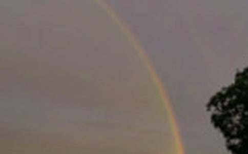 �����v���ۣ���ôҊ�ʺ����ģ����x29ƪ��