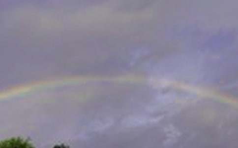 ���Ĳʺ�����