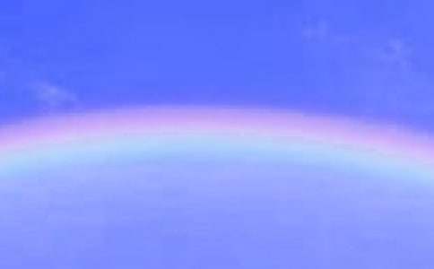 2017���L���^��Ҋ�ʺ烞������