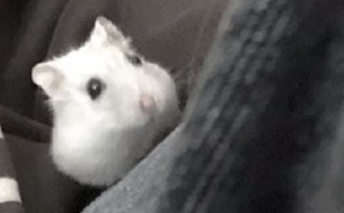 �ɐ۵Ă}������