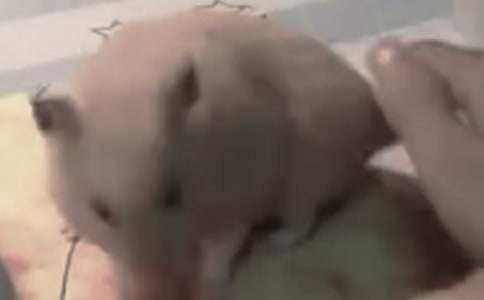 �ҵĂ}��С������1000�֣�ͨ��28ƪ��