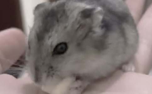 ��С����}������500��22ƪ