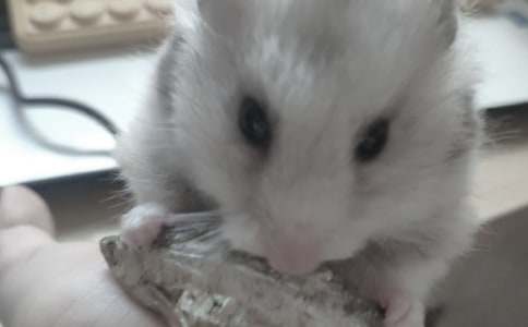 �^��}������(�ϼ�15ƪ)