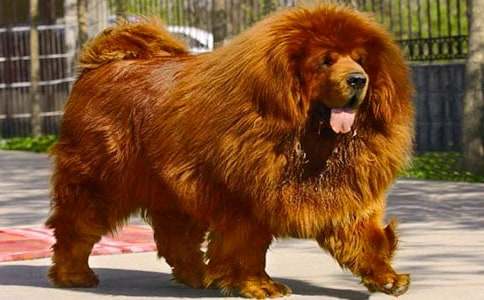 �������Ԛ�����700��