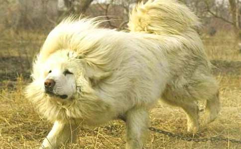 �P�ڲ�������300��3ƪ