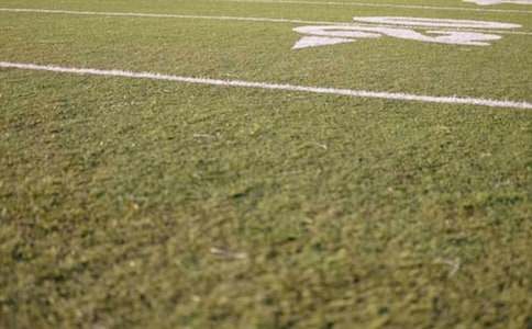 �P�ڲو�����600��5ƪ