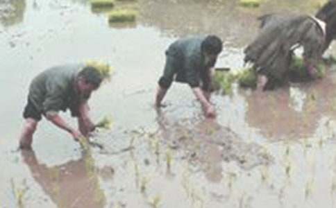 ��������300�֣����x45ƪ��